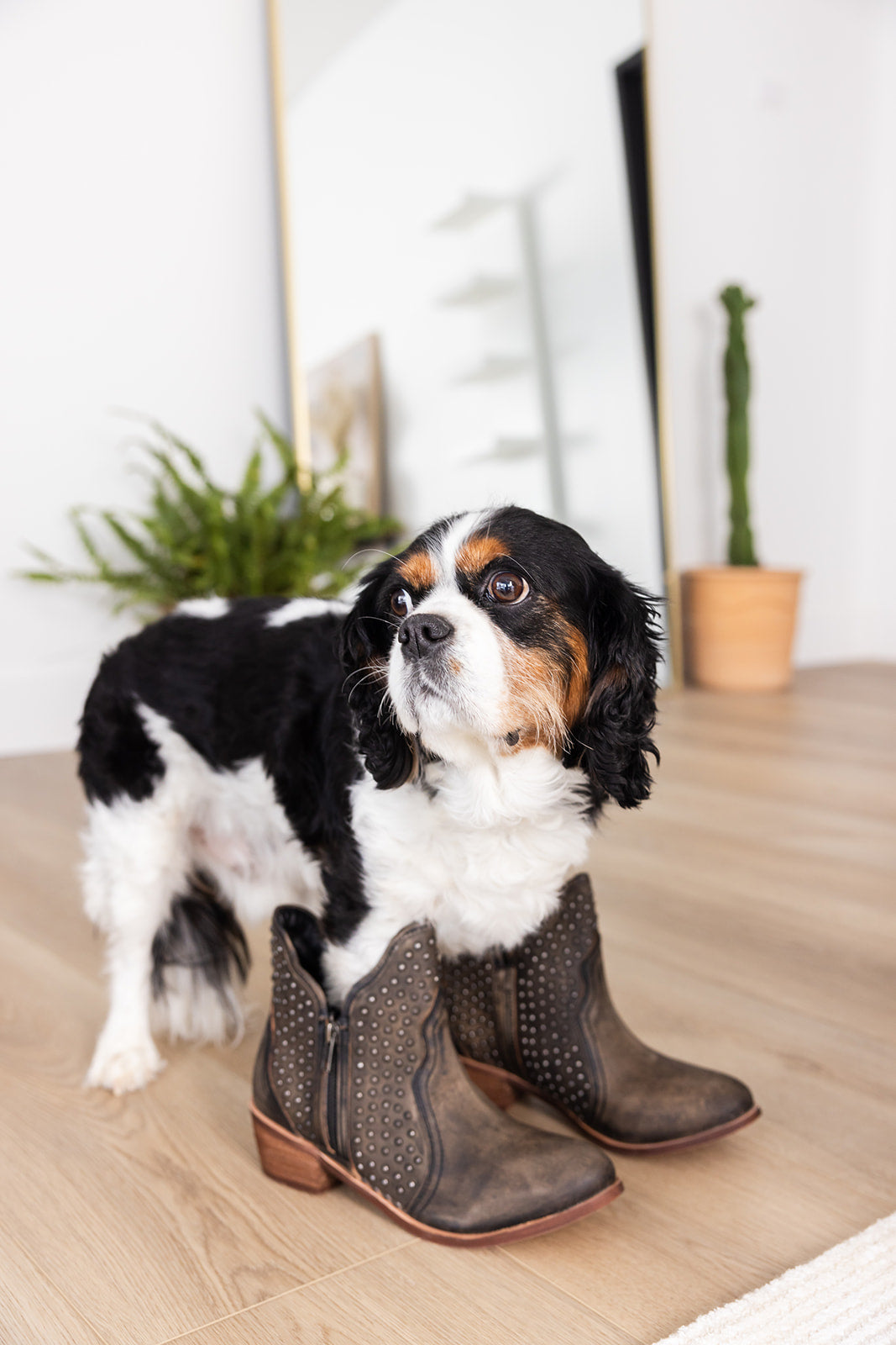 Naughty Monkey Nailed It Ankle Boot in White